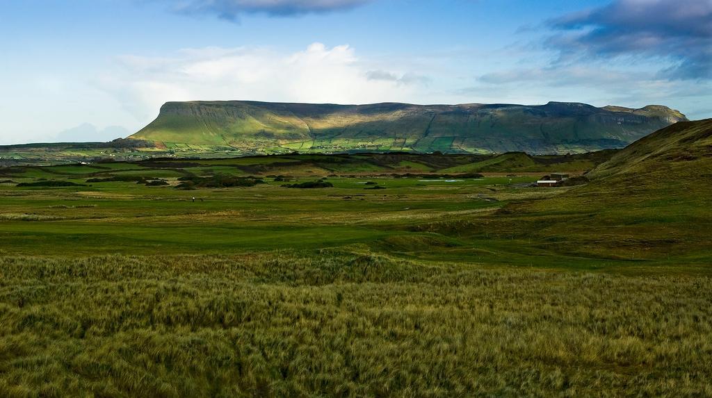 Down Yonder Boutique B&B Rosses Upper Eksteriør bilde